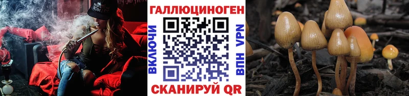 Псилоцибиновые грибы мухоморы Суджа