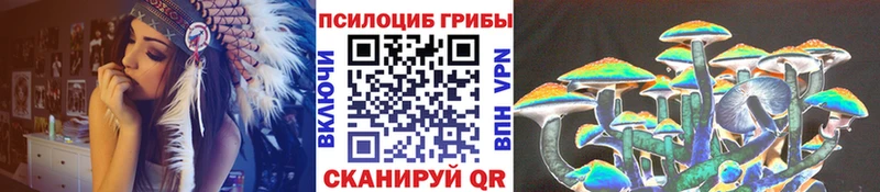 Галлюциногенные грибы мицелий  купить  цена  Суджа 